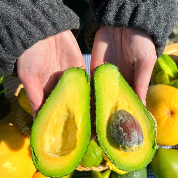 Avokado 1kg Taze 160 GR Altı