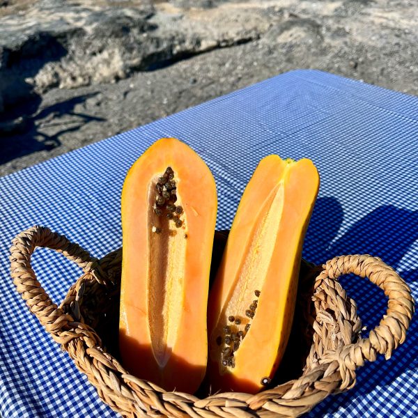 Papaya (Ağaç Kavunu)700-1000 gr  1 Adet