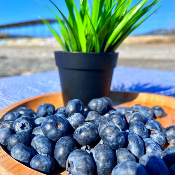 Analizli Yerli Yaban Mersini 500 Gr Premium Blueberry