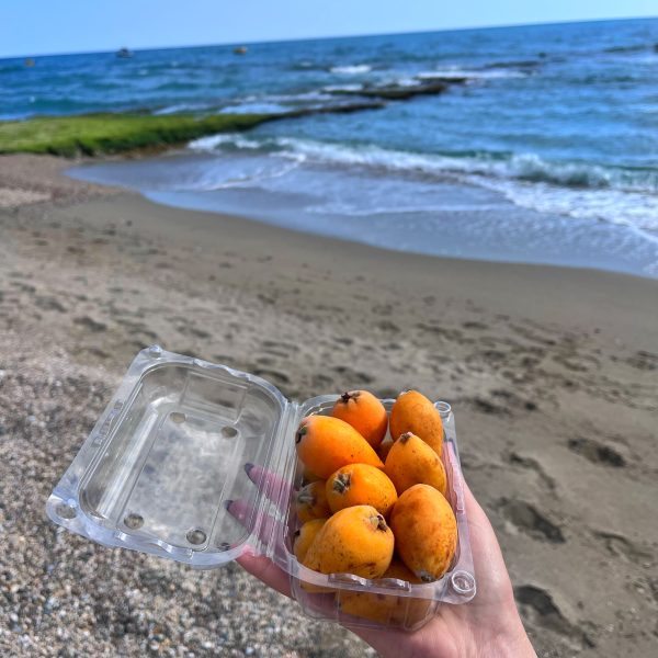 Malta Eriği Yenidünya Alanya 500-700 Gr