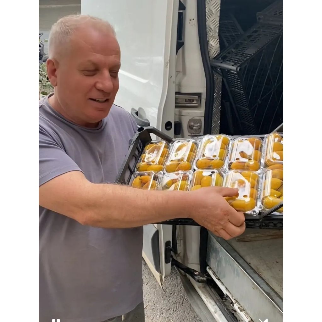 yeni dünya 500 Gr 500 Gr Malta Eriği Yenidünya Alanya - Görsel 1