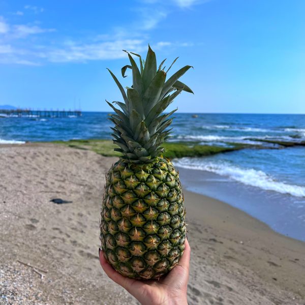 1 Adet Taze Ananas