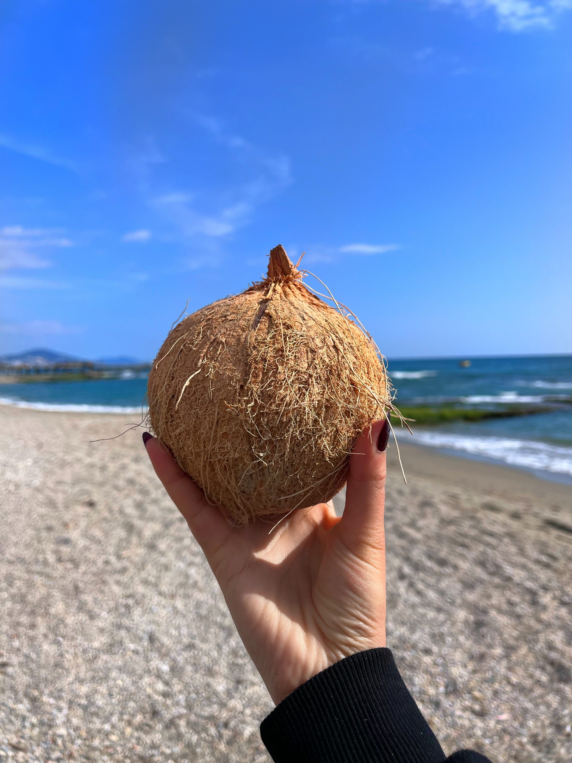 IMG_7159 1 Adet Hindistan Cevizi - Görsel 1