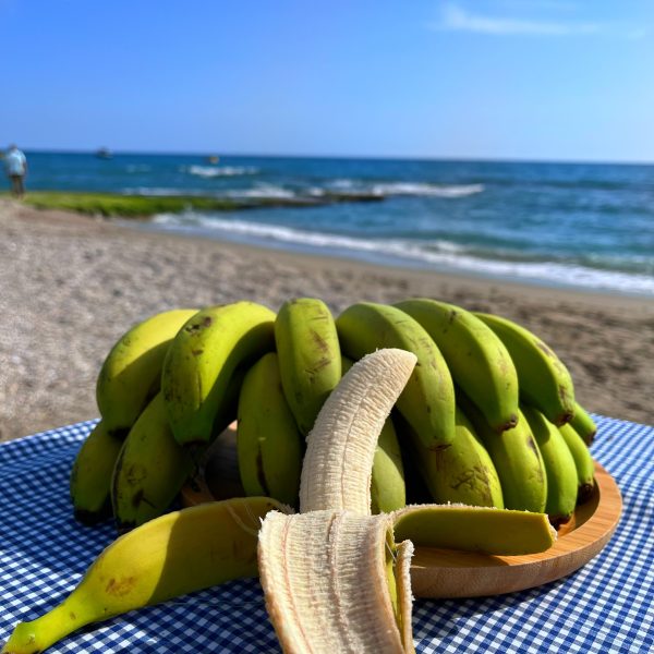 Muz 1 Kasa 10 kg (Ücretsiz Kargo)