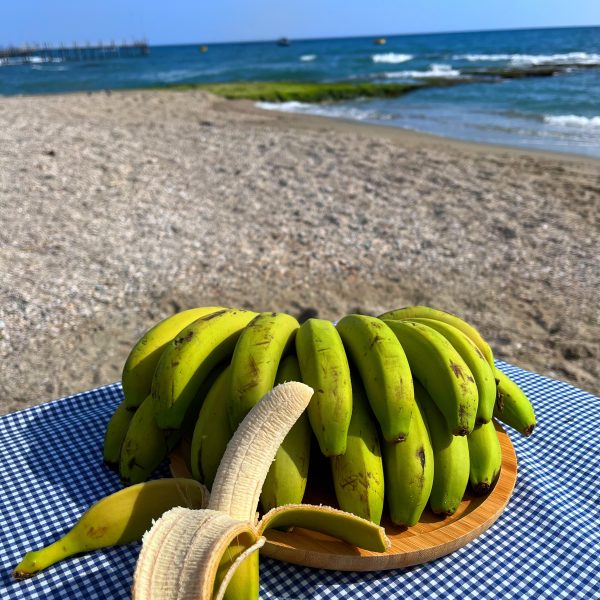 Alanya Yeşil Muz 1 Kg