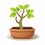 Fidanlar ve Aşılar