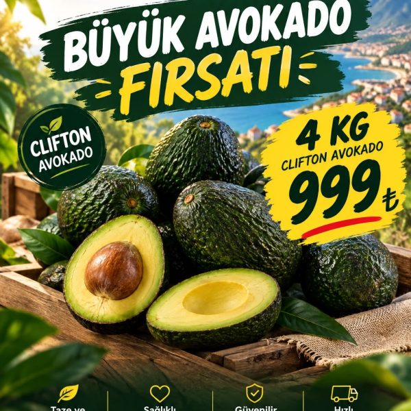 Büyük Avokado Fırsatı 4 KG